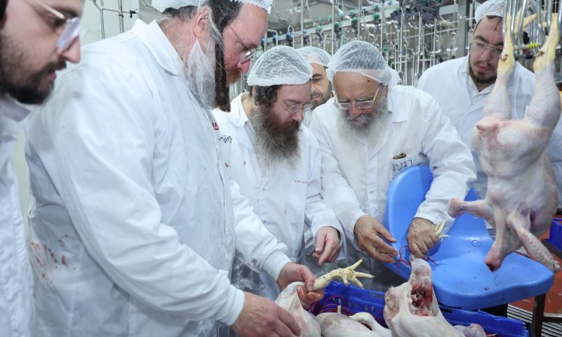 הפוסק הגר"ע פריד מודיע: תמיכה הלכתית מלאה בכלל מערך בד"ץ 'קהילות'