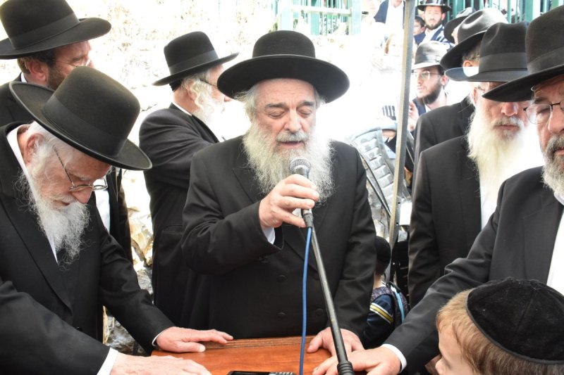 יהודה פרקוביץ
