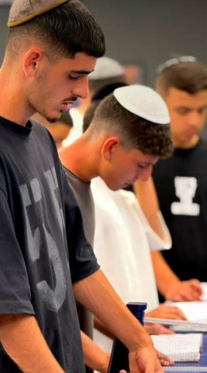 שניאור סגל