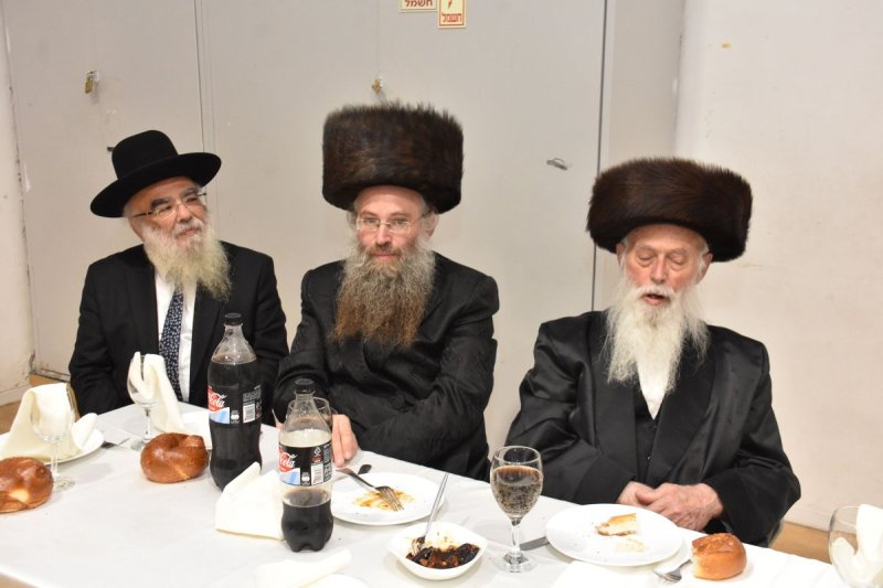 יהודה פרקוביץ