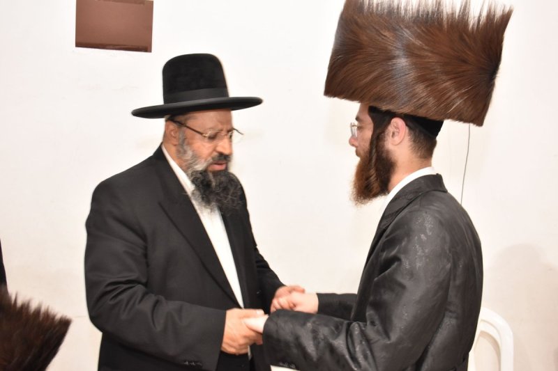 יהודה פרקוביץ