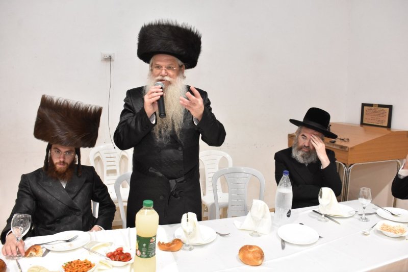 יהודה פרקוביץ