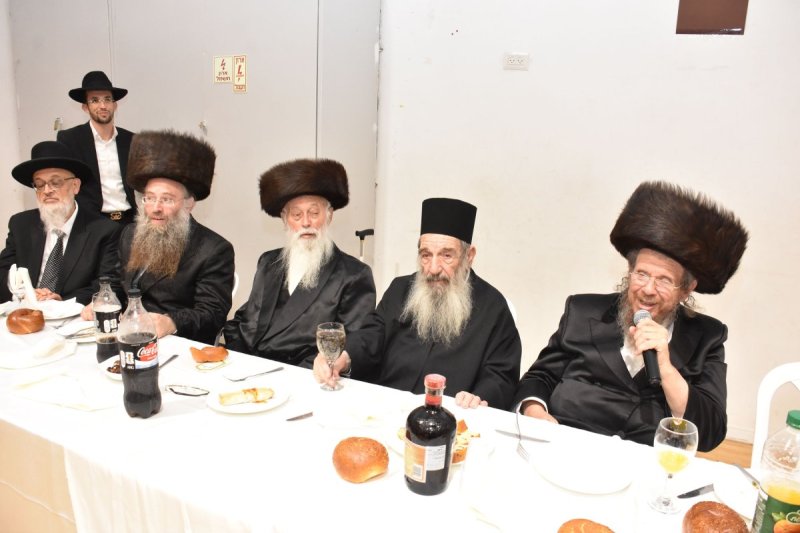 יהודה פרקוביץ