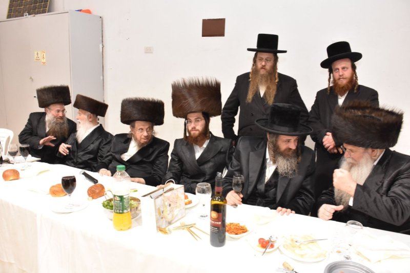 יהודה פרקוביץ
