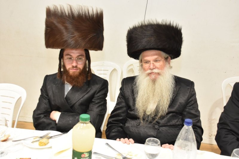 יהודה פרקוביץ