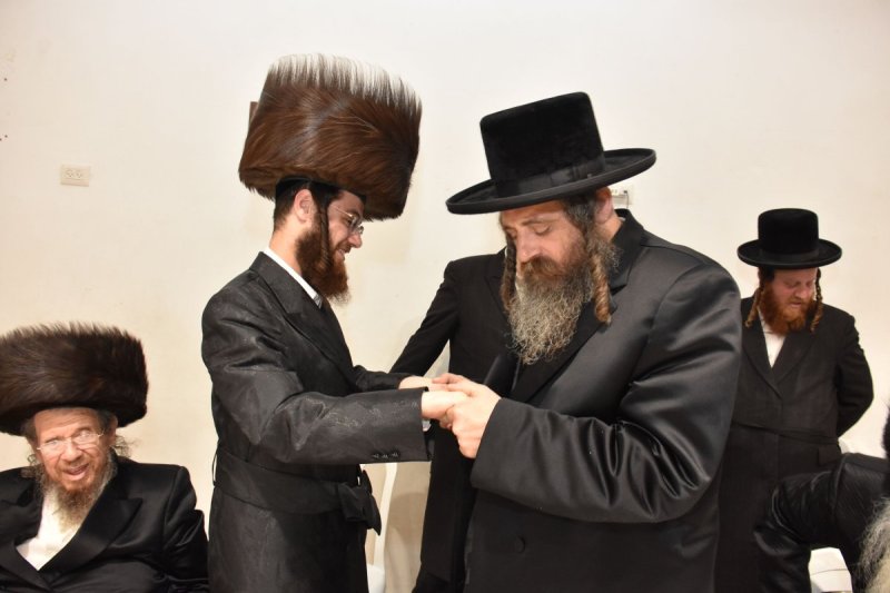 יהודה פרקוביץ