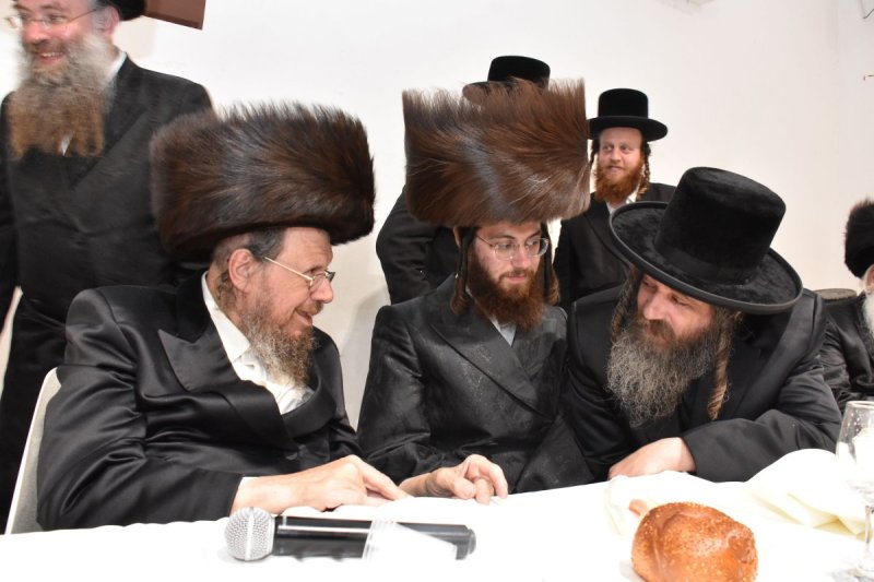 יהודה פרקוביץ