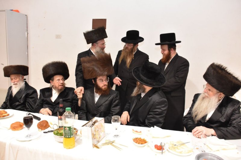 יהודה פרקוביץ