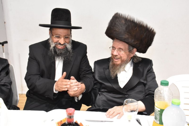 יהודה פרקוביץ