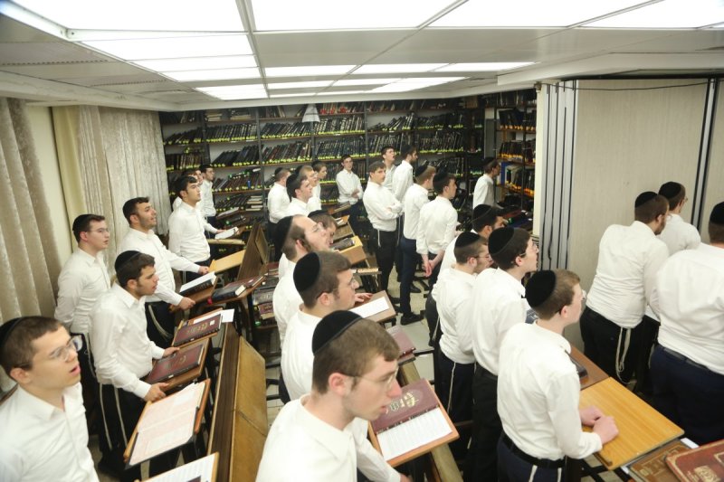 דוד קשת