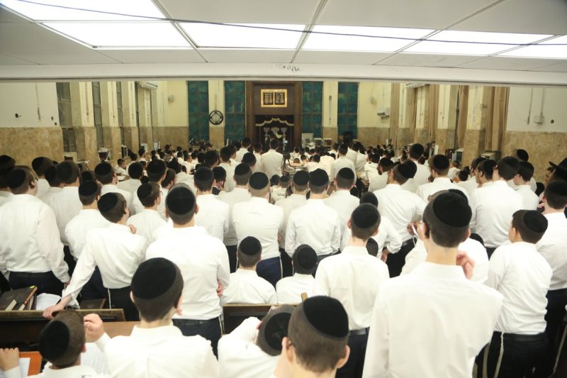 דוד קשת