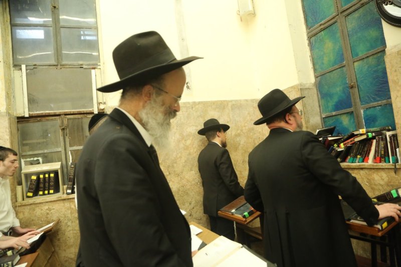 דוד קשת
