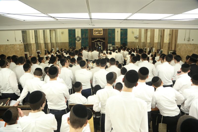 דוד קשת