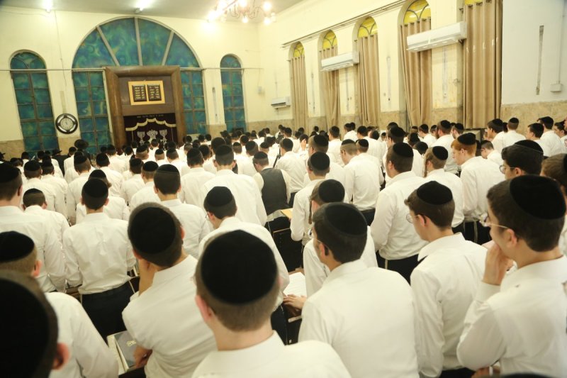 דוד קשת