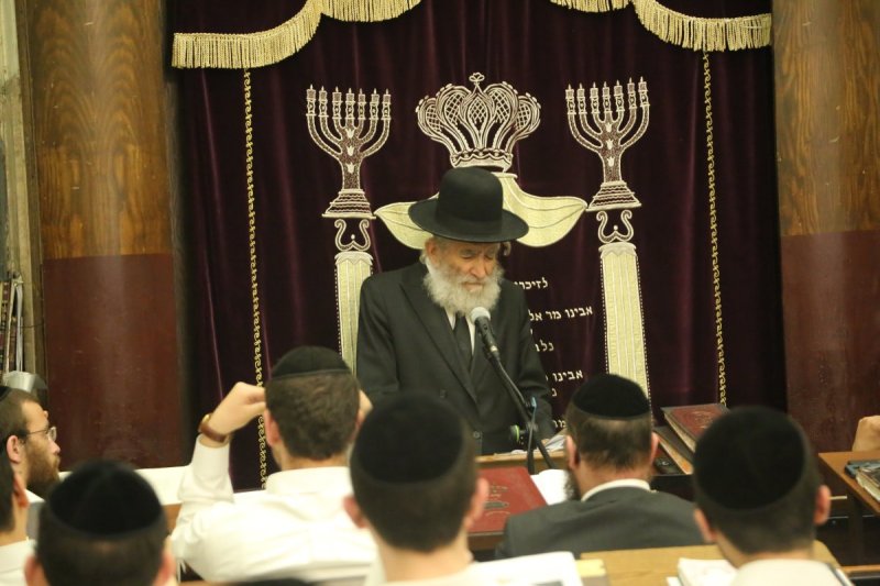 דוד קשת