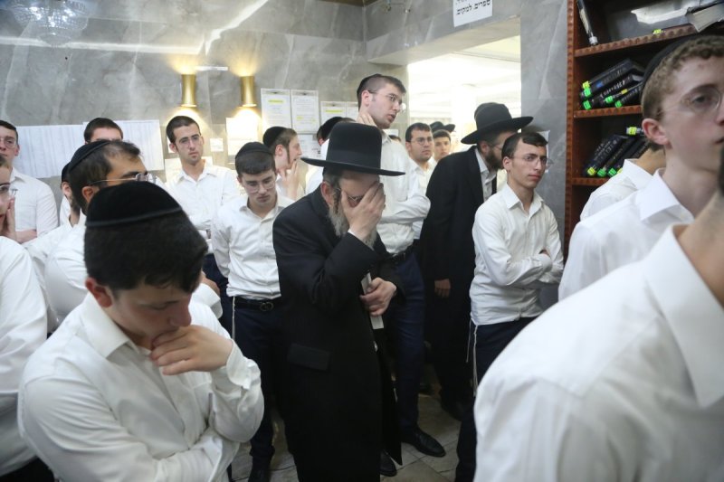 דוד קשת