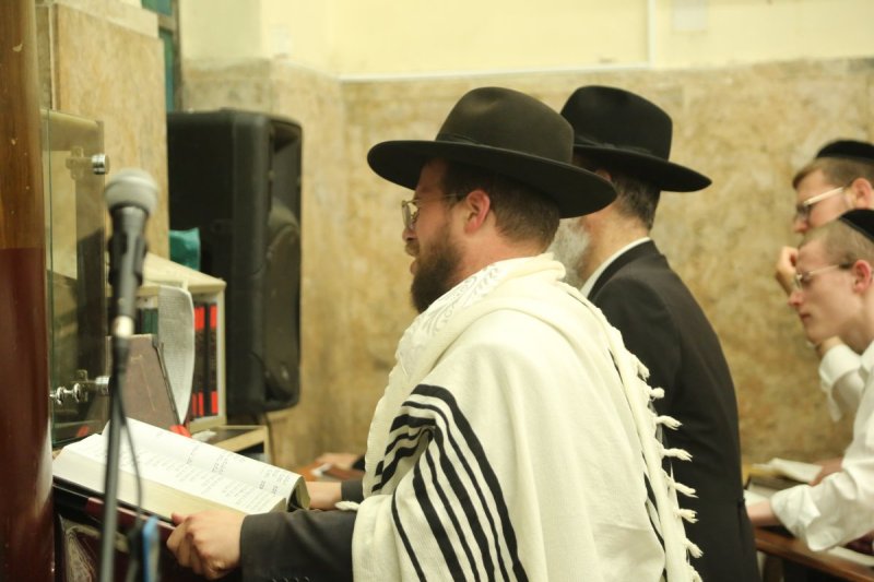 דוד קשת
