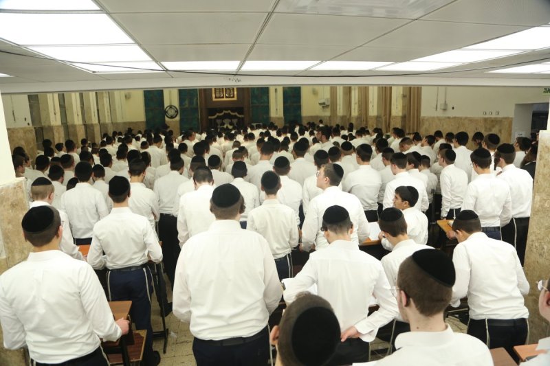 דוד קשת