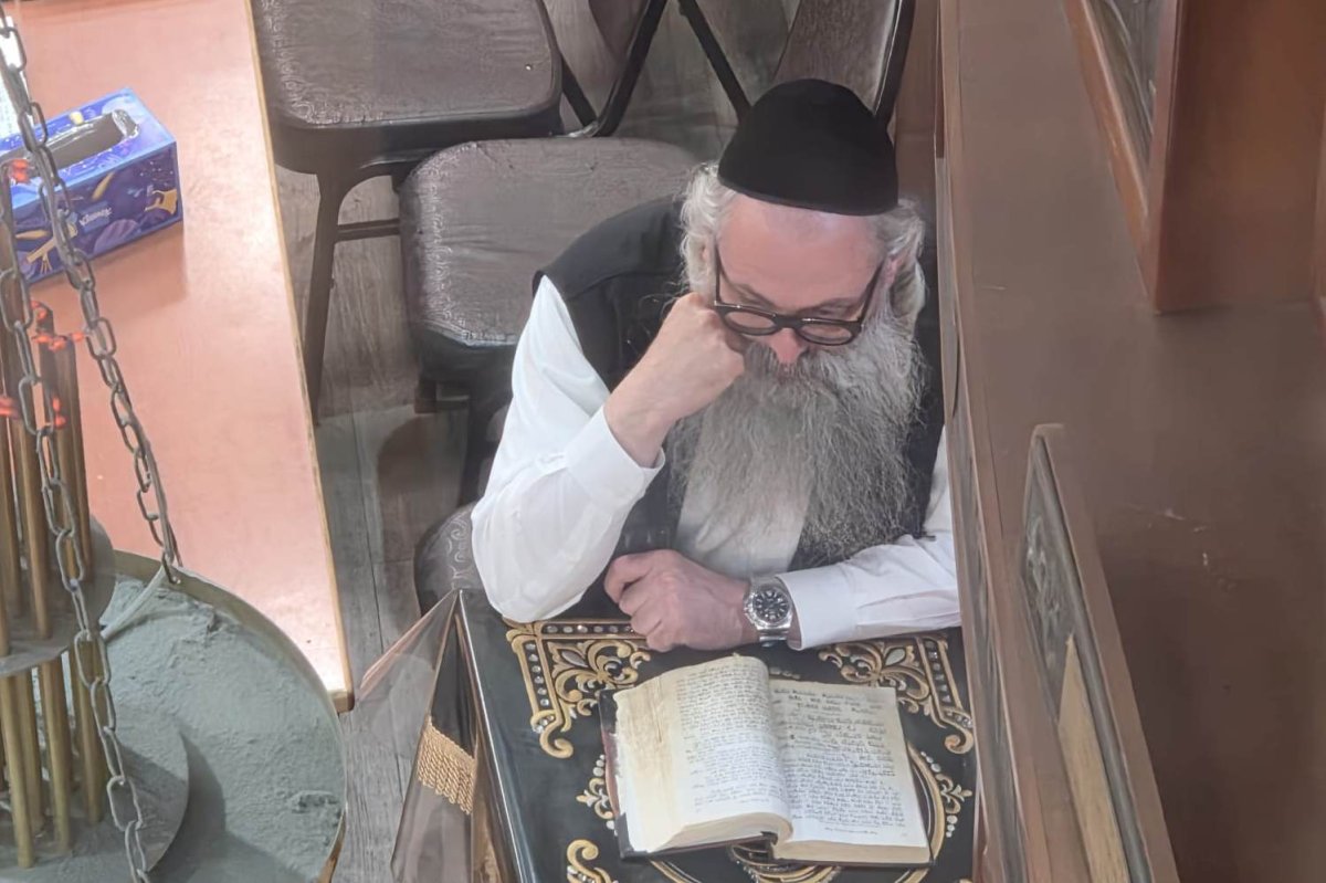 באדיבות המצלם