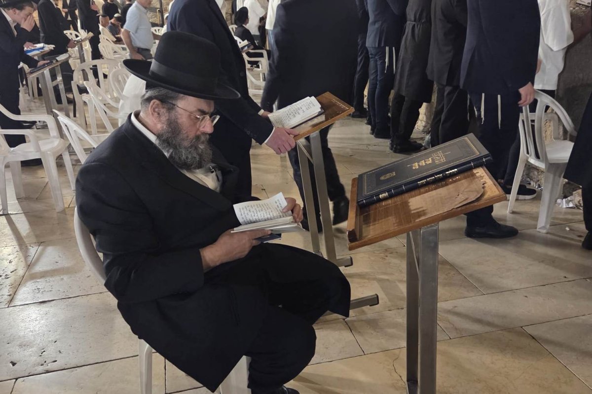 באדיבות המצלם