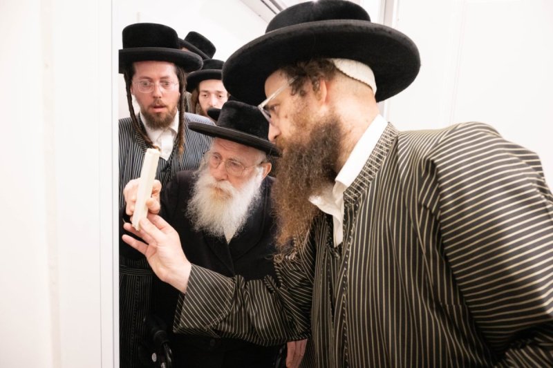שלום קרויס