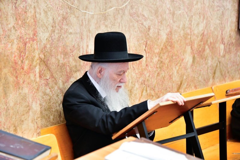 שוקי לרר