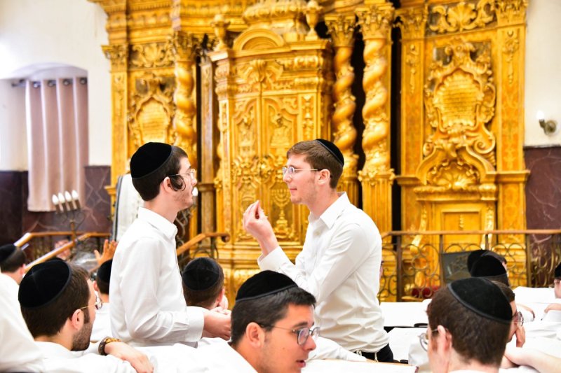 שוקי לרר