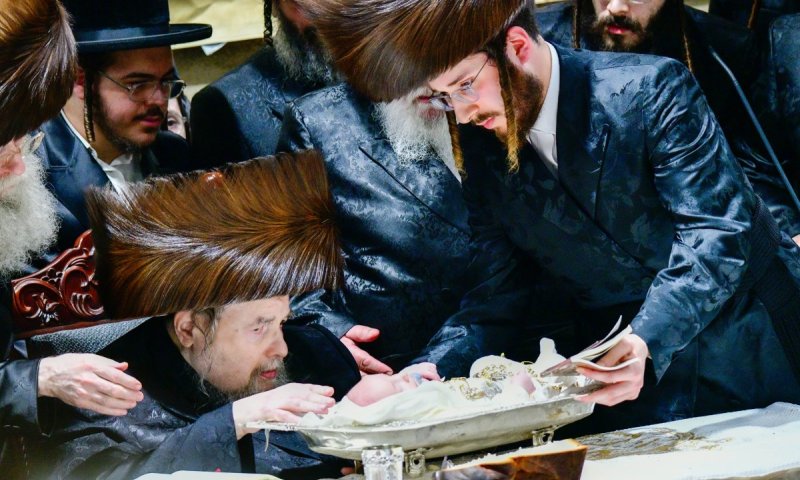 האדמו"ר בירך, שלושה כהנים פדו: מעמד פדיון הבן לנין הרבי מבעלזא