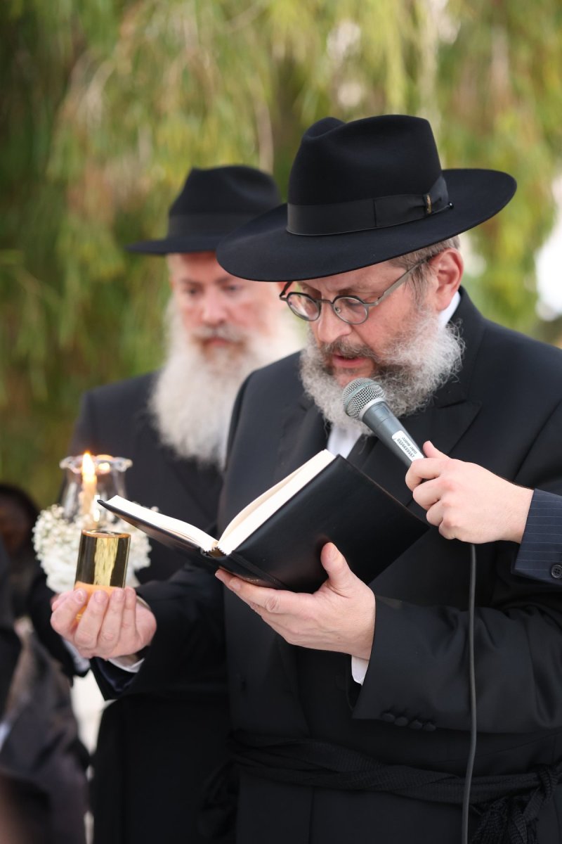 שלומי כהן