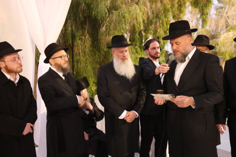 שלומי כהן