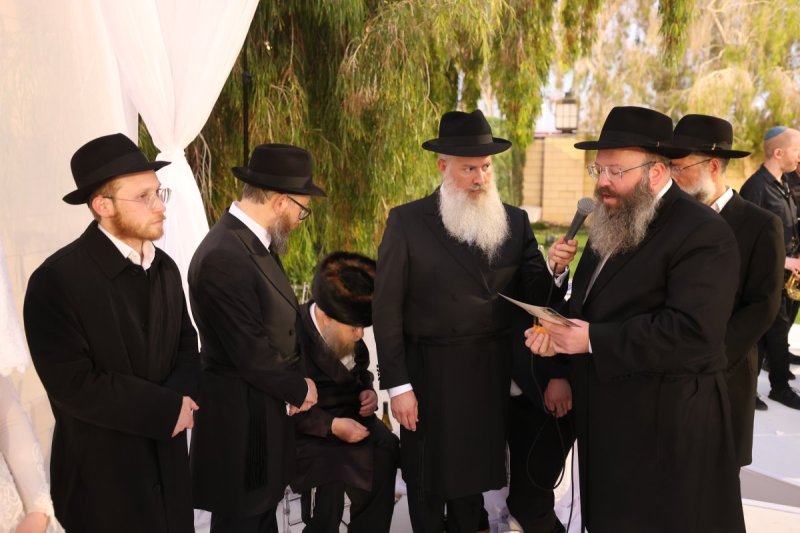 שלומי כהן