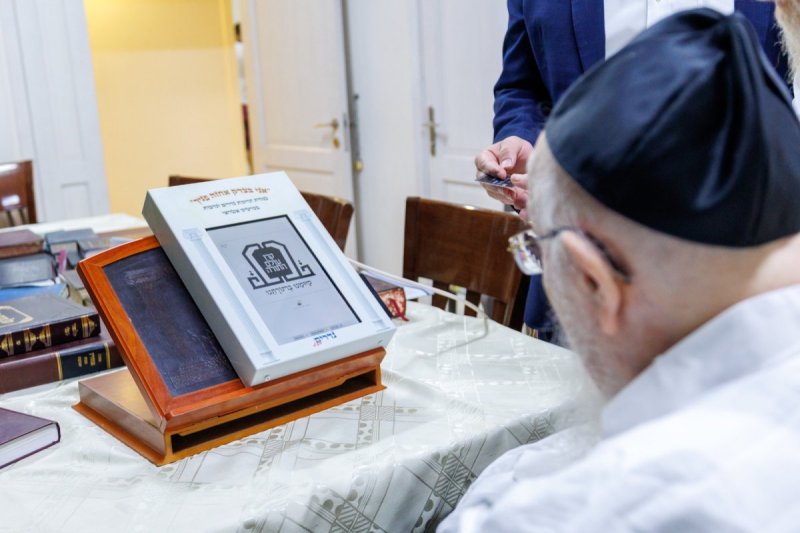 מאיר זלזניק