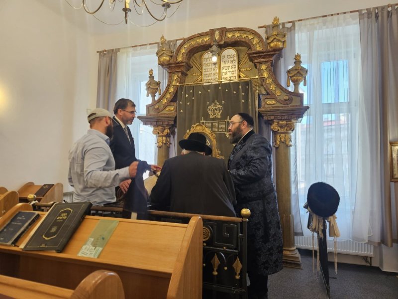זאב וקסברגר, אביגיל טיילור, דניאל סוקופ