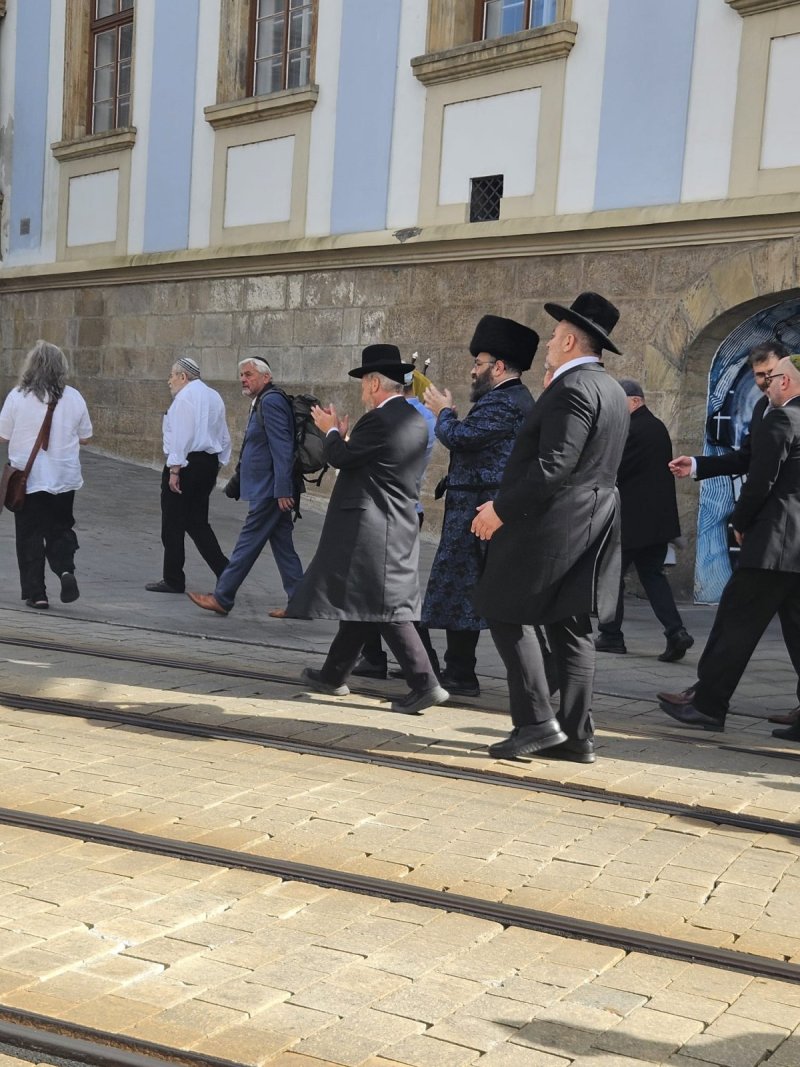 זאב וקסברגר, אביגיל טיילור, דניאל סוקופ