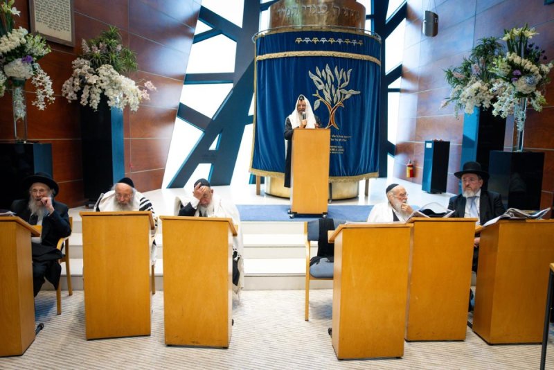 דניאל נפוסי ומאיר זלזניק