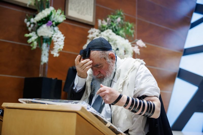 דניאל נפוסי ומאיר זלזניק