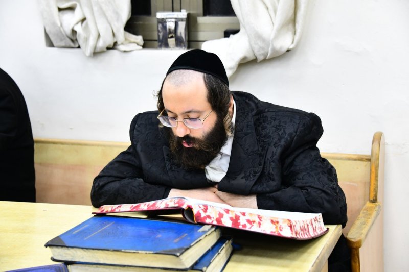 שוקי לרר