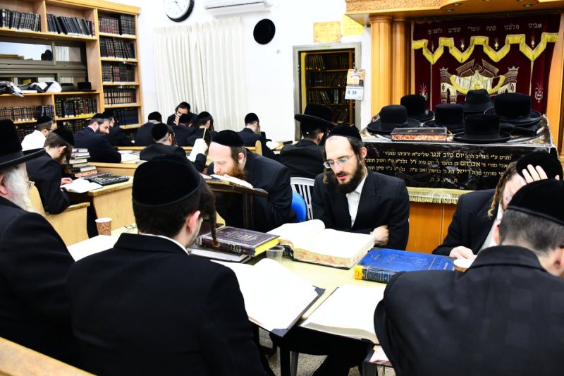 שוקי לרר