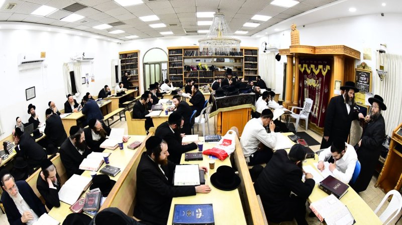 שוקי לרר