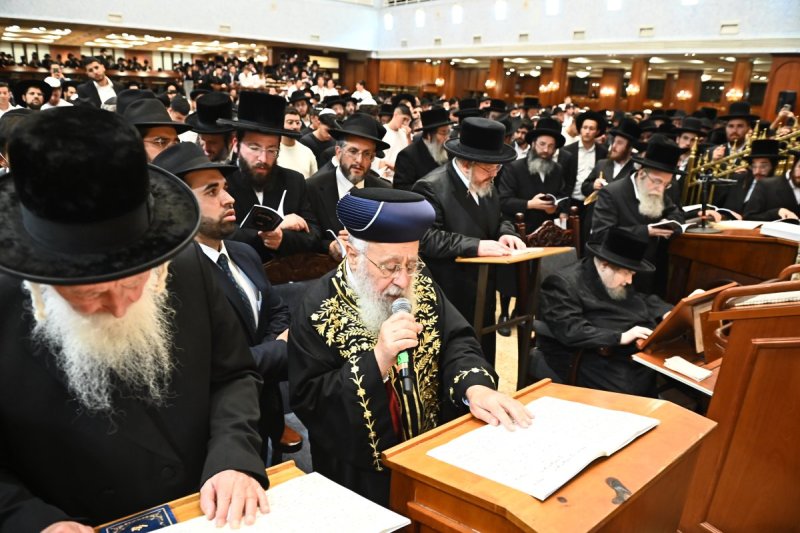 שוקי לרר