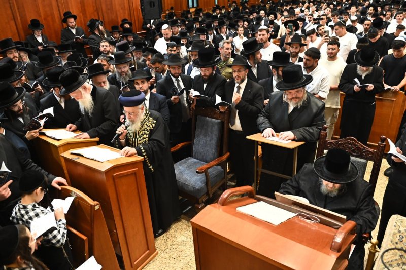 שוקי לרר