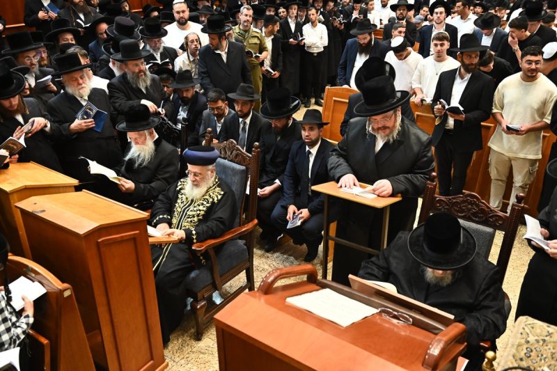 שוקי לרר