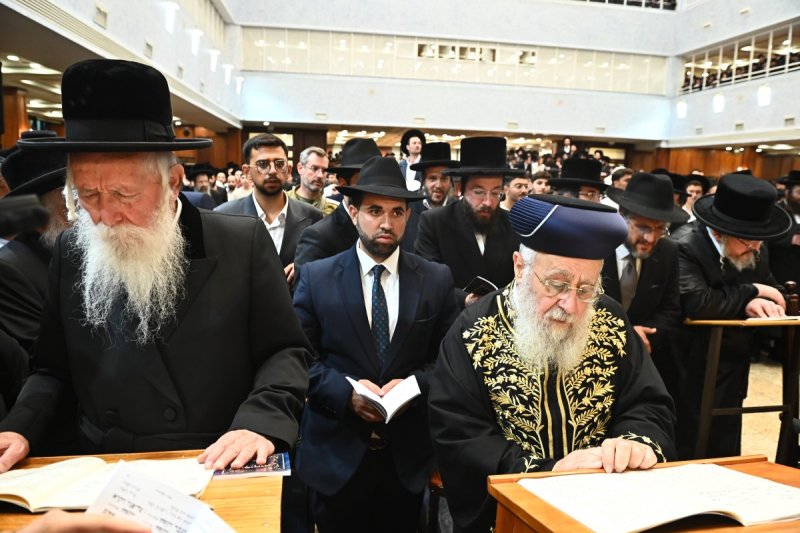 שוקי לרר