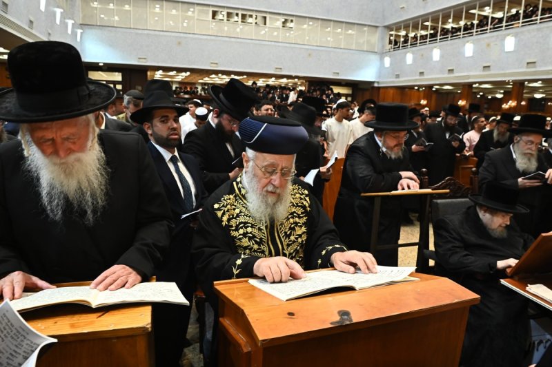 שוקי לרר