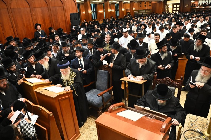 שוקי לרר