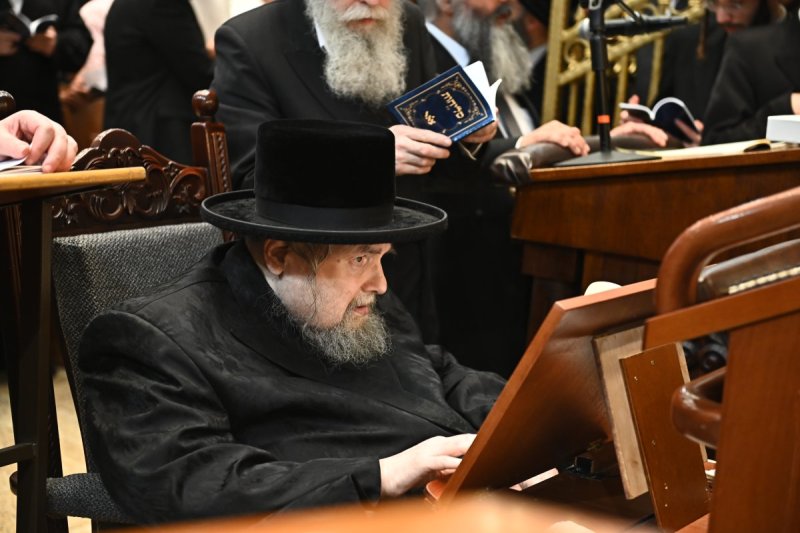 שוקי לרר