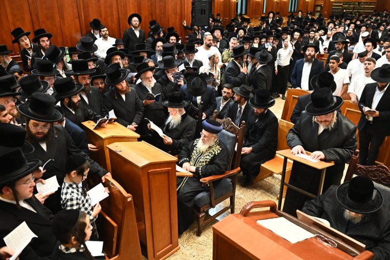 שוקי לרר