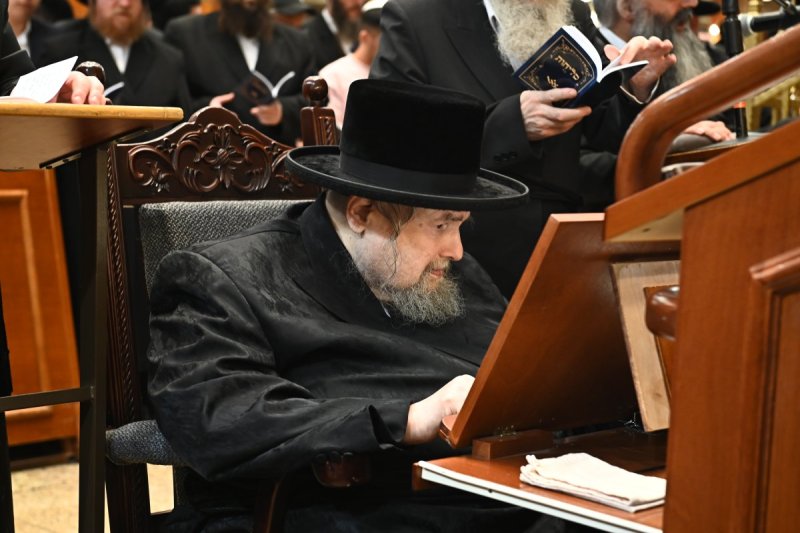 שוקי לרר