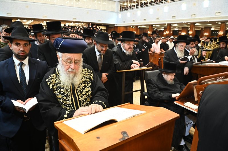 שוקי לרר