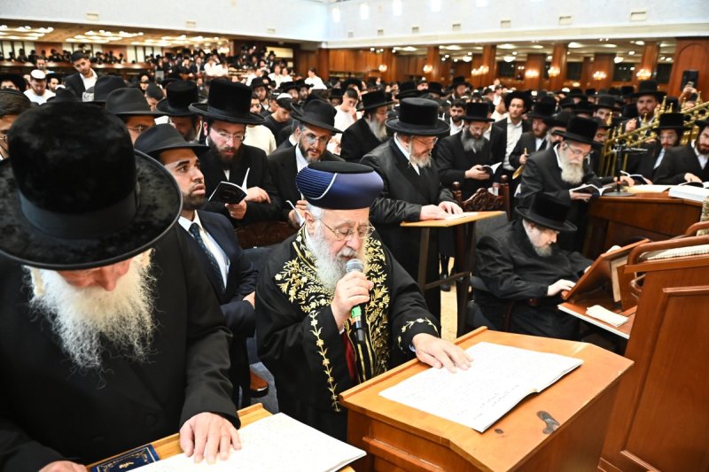 שוקי לרר
